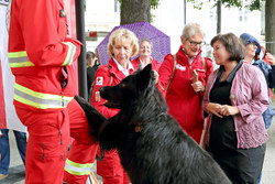 Ehrenamtstag mit Landesrätin Birgit Gerstorfer