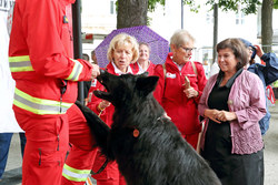 Ehrenamtstag mit Landesrätin Birgit Gerstorfer