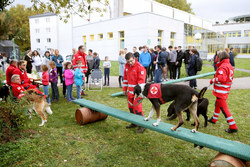 Ehrenamtstag Vöcklabruck