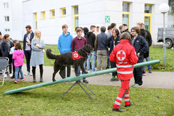 Ehrenamtstag Vöcklabruck