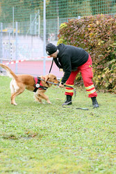 Ehrenamtstag Vöcklabruck