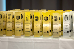 Sport-Ehrenzeichenverleihung, Silber und Gold