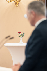 keine Beschreibung gefunden