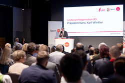 Landes-Sportehrenzeichen Bronze