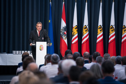 keine Beschreibung gefunden