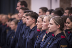 keine Beschreibung gefunden