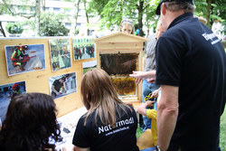 Fest der Natur im Volksgarten