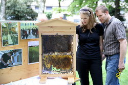 Fest der Natur im Volksgarten