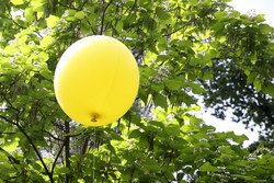 Fest der Natur im Volksgarten