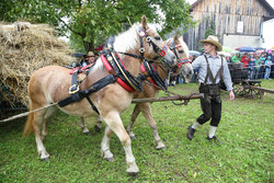 19.09. bis 21.9.2014  Fest der Volkskultur in Herzogsdorf