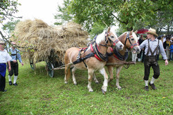 19.09. bis 21.9.2014  Fest der Volkskultur in Herzogsdorf