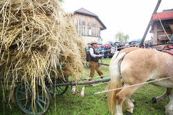 19.09. bis 21.9.2014  Fest der Volkskultur in Herzogsdorf