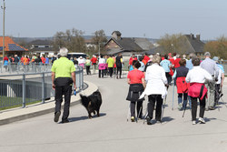 Walk und Talk mit Fr.Landesrätin Mag.Jahn