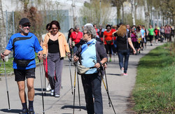 Walk und Talk mit LR Gertraud Jahn in Wels