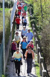 Walk und Talk mit LR Gertraud Jahn in Wels