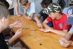 Der Umwelt:Spiel:Raum bietet mit spannenden Workshops Kindern und Jugendlichen die Möglichkeit, sich in freier Natur auszutoben und kreativ zu sein.